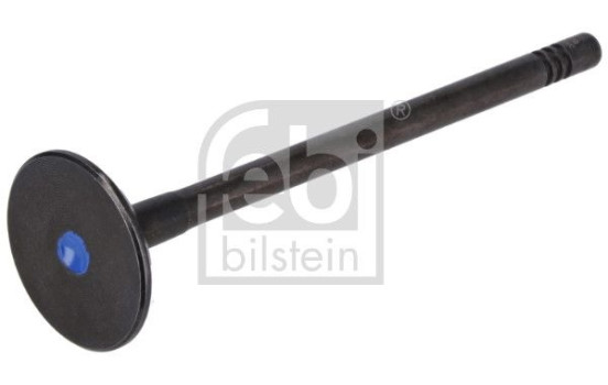 Intake valve, Image 2