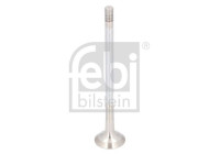 Exhaust valve