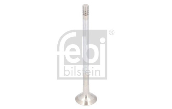 Exhaust valve