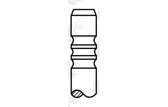 Exhaust valve