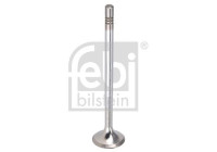Exhaust valve