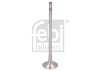 Exhaust valve