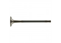 Outlet valve
