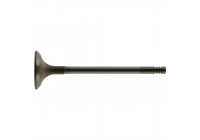 Outlet valve