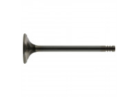 Outlet valve
