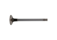 Outlet valve