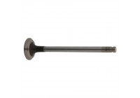 Outlet valve