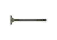 Outlet valve