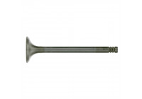 Outlet valve