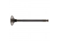 Outlet valve