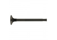 Outlet valve