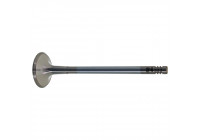 Outlet valve