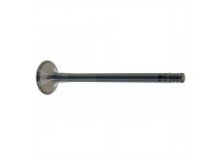 Outlet valve