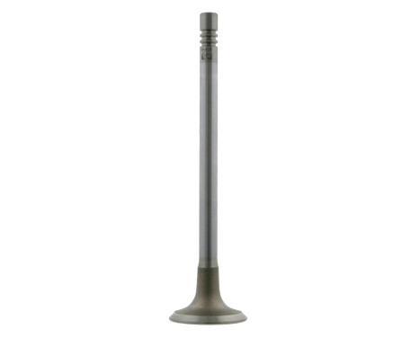 Outlet valve