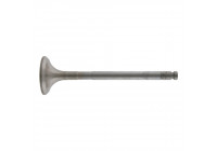 Outlet valve
