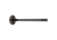 Outlet valve