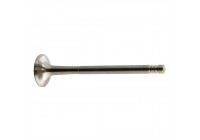 Outlet valve