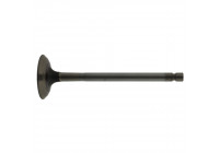 Outlet valve
