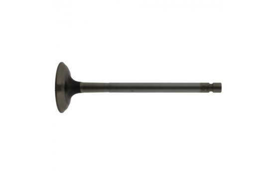 Outlet valve