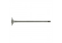 Outlet valve