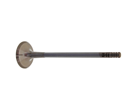 Outlet valve