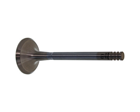 Outlet valve