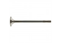 Outlet valve