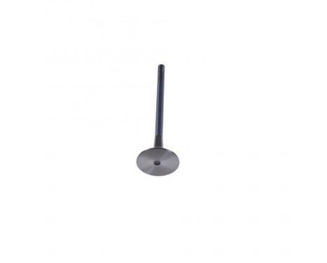 Outlet valve, Image 2