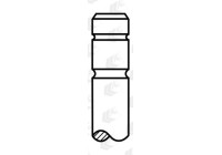 Outlet valve