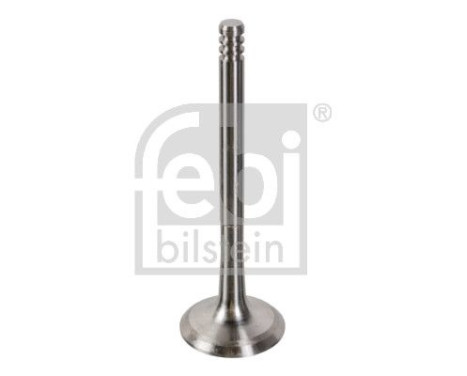 Outlet valve, Image 2