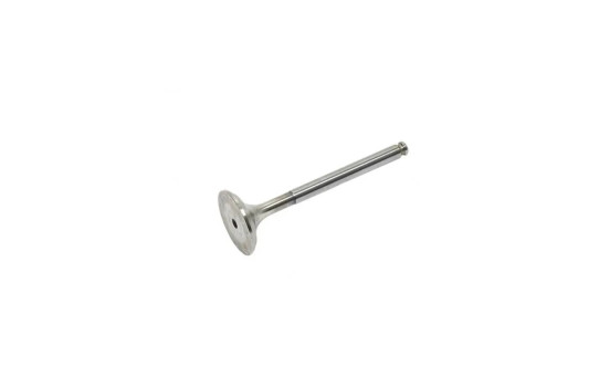 Inlet Valve