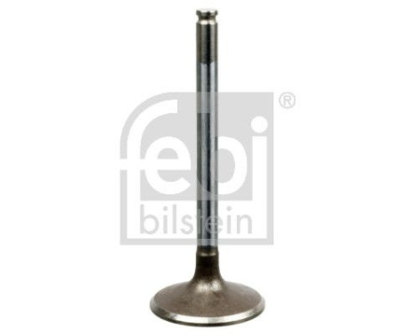 Inlet Valve, Image 2