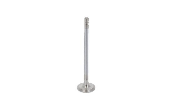 Exhaust valve, Image 2