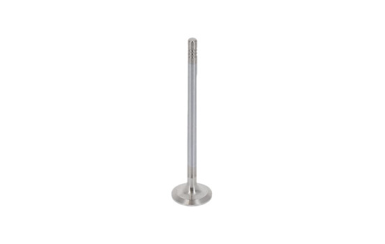 Exhaust valve, Image 3