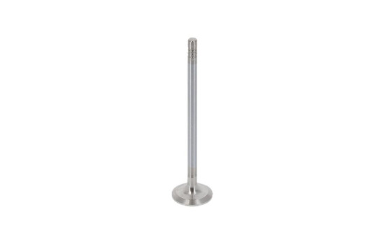 Exhaust valve, Image 4