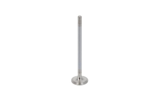 Exhaust valve, Image 5