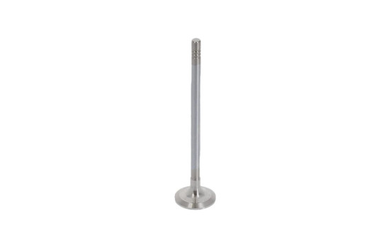 Exhaust valve, Image 6