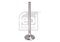 Exhaust valve