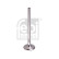 Exhaust valve