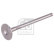 Exhaust valve, Thumbnail 2