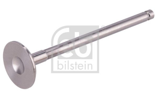 Exhaust valve, Image 2