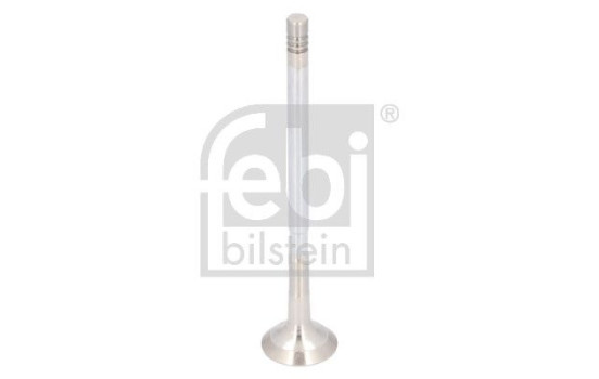 Exhaust valve