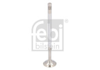 Exhaust valve