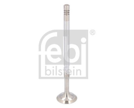 Exhaust valve