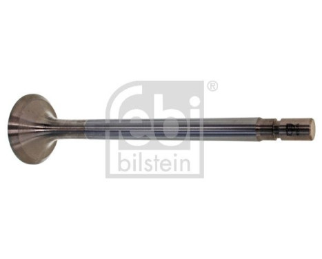 Exhaust valve
