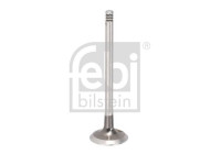 Exhaust valve