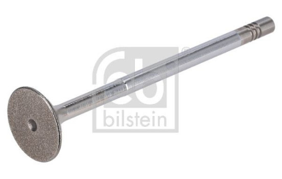 Exhaust valve, Image 2