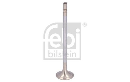 Exhaust valve