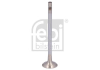 Exhaust valve