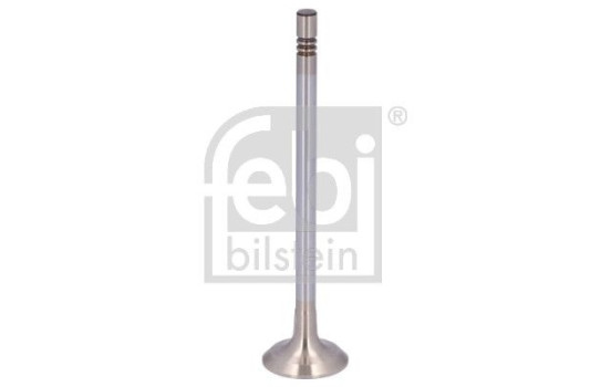 Exhaust valve